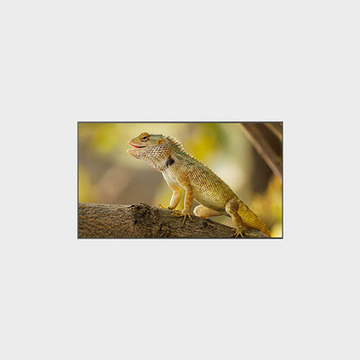 Affichage LCD de 98 pouces pour une performance optimale