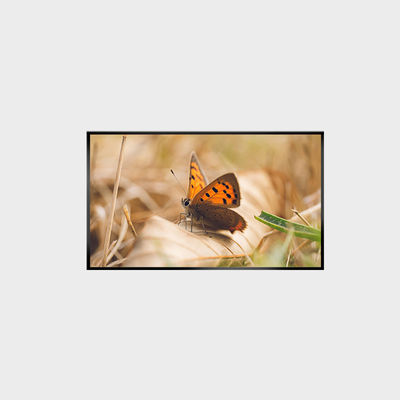 Le panneau LCD de 43 pouces 2000nits 1920*1080 LCMA-RX0430GL13-Z200
