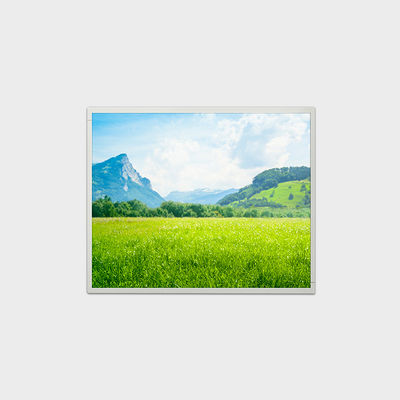 Solution LCD 19 pouces avec résolution 1280*1024, luminosité 500 nits LCMA-RX0190GB01-C050