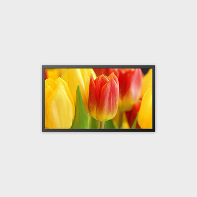 Machine TFT LCD 32 pouces rechargeable, support du système Android 13.0