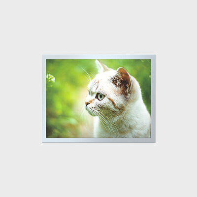 Écran LCD TFT haute luminosité de 15 pouces, longue durée de vie pour tableaux de bord industriels