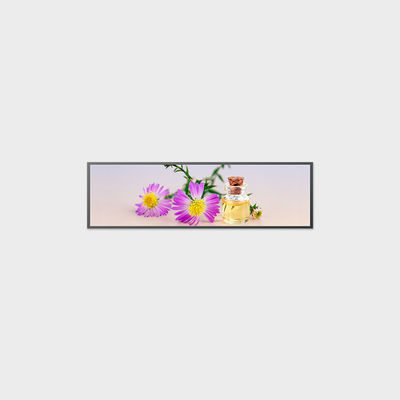 49Affichage LCD de type barre de 0,5 pouce 3840*1080 V par un 250 nits