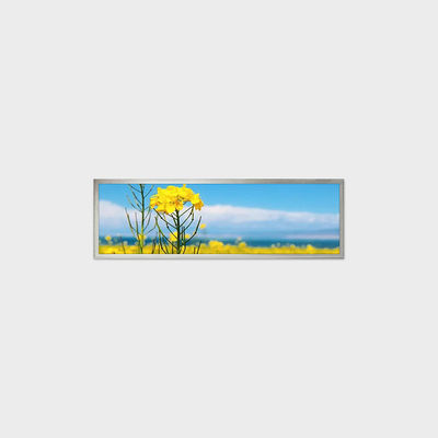 19Écran LCD de type barre de 0,4 pouce 1920*510 LVDS 500nits