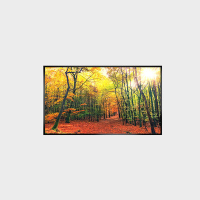 Écran LCD de 43 pouces Panneau LCD de 1000 nits résolution 3840*2160 LCMA-RX0430GL19-Z100