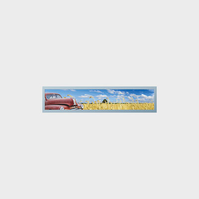 Application de transport de métro d'affichage TFT type barre de 28 pouces avec personnalisation
