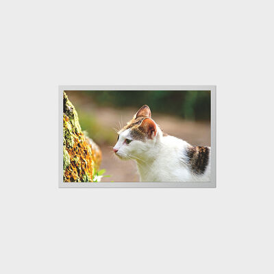 Écran TFT de 12,1 pouces avec écran LCD à faible consommation d'énergie pour dispositifs médicaux portables