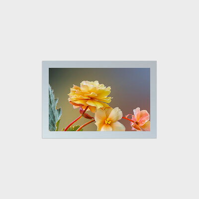 Type carré LCD TFT de 27 pouces avec solution de coupe de résolution 1847*1154