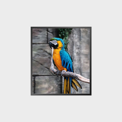 Panneau LCD carré à contraste élevé 35,6 pouces 950*1080 500nit Avec système Android