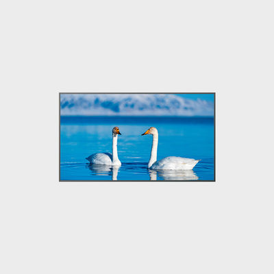 Panneau LCD haute luminosité 65 pouces 1920*1080 2000 nits LCMA-RX0650GB08-Z200