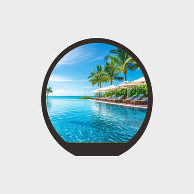 Écran LCD rond de 0,99 pouces avec l'application Smart Watch de soutien de solution de l'éclat 450nits