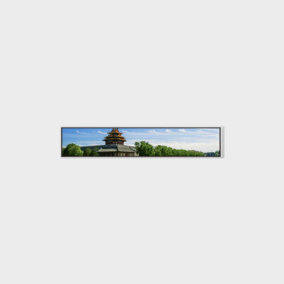 Écran LCD de type barre de 6,9 ​​pouces avec une résolution de 280 x 1424, prise en charge de la personnalisation de la luminosité