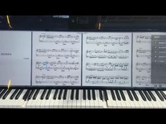 49L'écran LCD de type barre de 0,5 pouce LCMA-RX0495TL01-C025