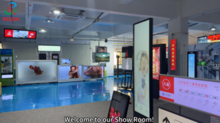Rogin's Show Room - Module LCD Full HD de petite et moyenne taille