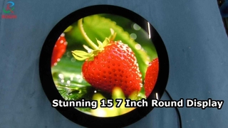 Écran LCD rond de 15,7 pouces, résolution 960*960 avec système Android.